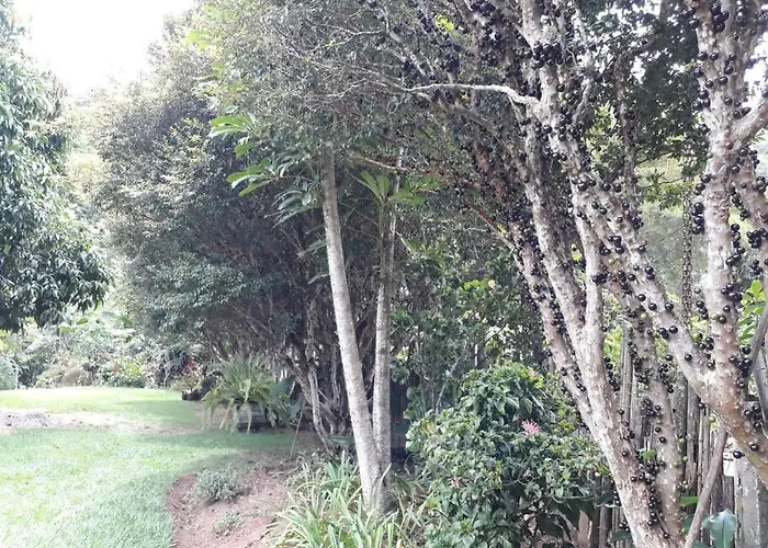 Casadamaro