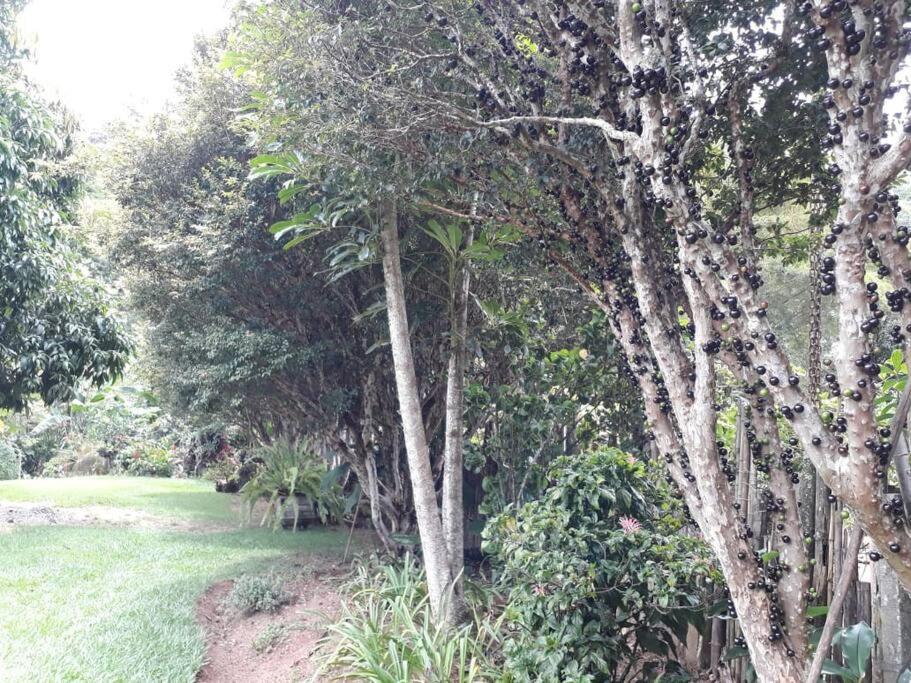 Chalet Casadamaro